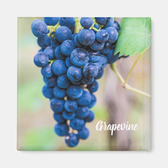 Grape Vine for wine and grapevine winegrower gift Magnet (Front)