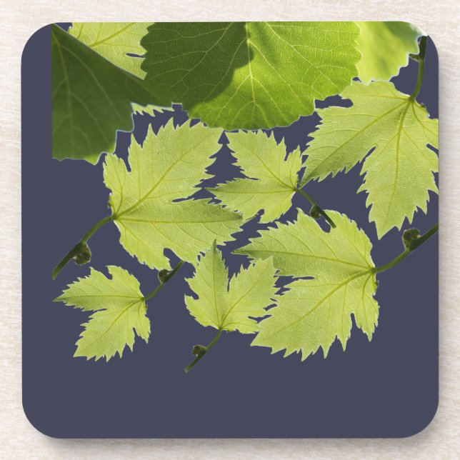 Grape Vine Green Leaves Coaster (Front)