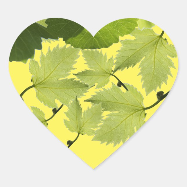 Grape Vine Green Leaves Heart Sticker (Front)
