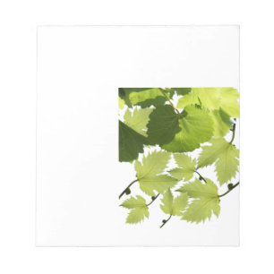 Grape Vine Green Leaves Notepad