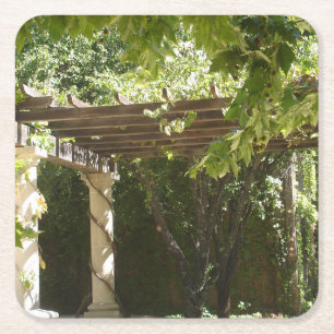 Grape Vine Napa  Square Paper Coaster