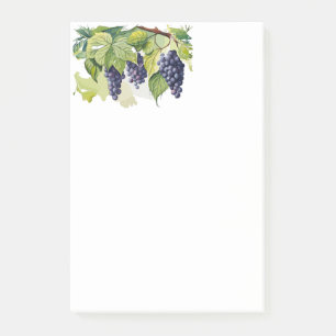 Grape Vine Post-it Notes