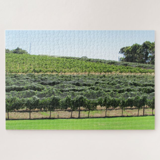 grape vines jigsaw puzzle (Horizontal)