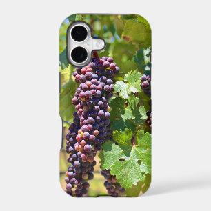 Grapes