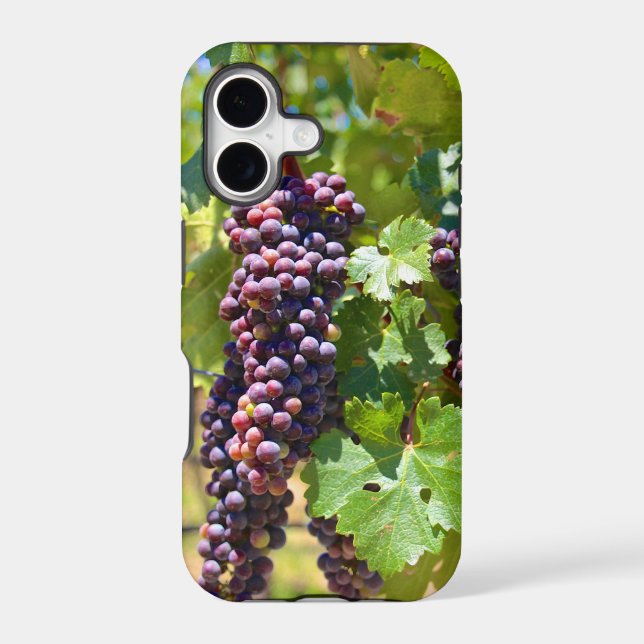 Grapes (Back)