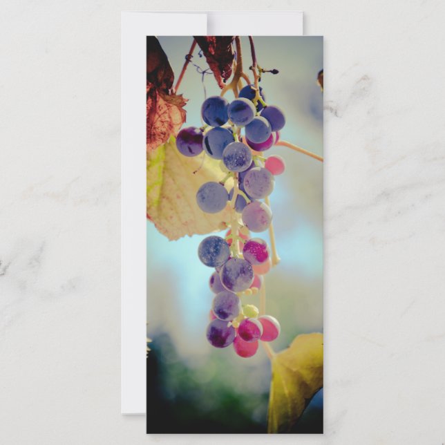 Grapes (Front)