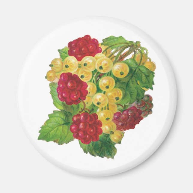 Grapes and Berries Magnets (Front)
