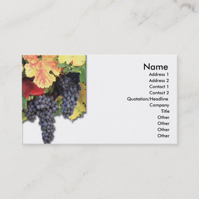 Grapes Business Card (Front)