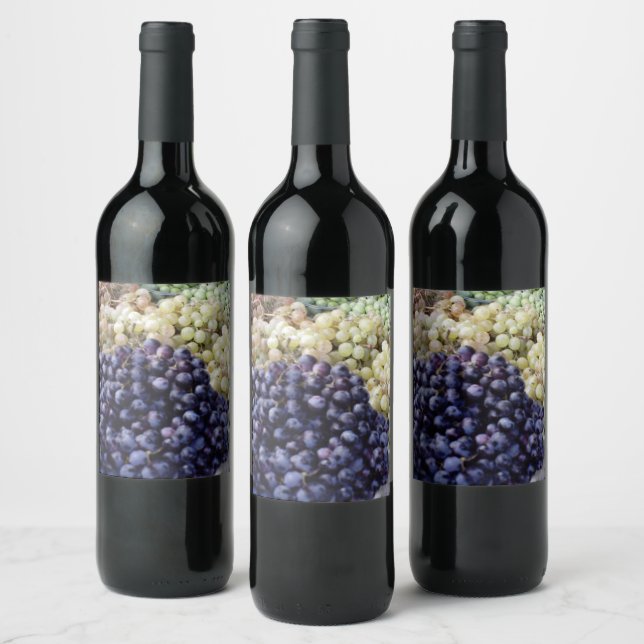 Grapes from Malta Wine Label (Bottles)