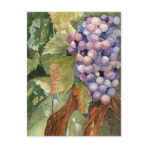 Grapes, Fruit of the Vine