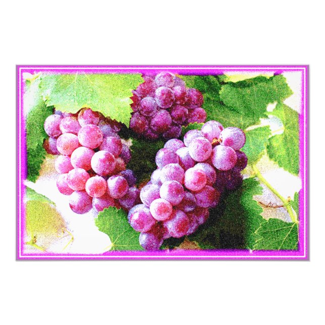 "Grapes Fruit Plant" Cute Photo. Buy Now Photo Print (Front)