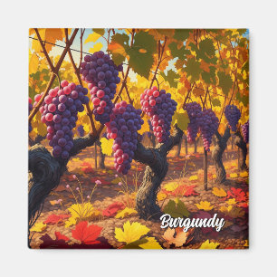 Grapes in Burgundy France Travel Magnet
