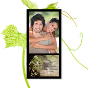 Grapes Leaves Vineyard Wedding Save the Date
