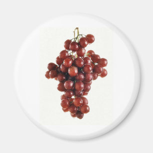 GRAPES MAGNET