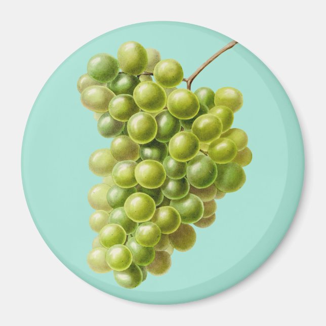 Grapes Magnet (Front)