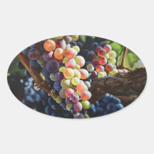 Grapes of Abundance for Wine Lovers & Wineries