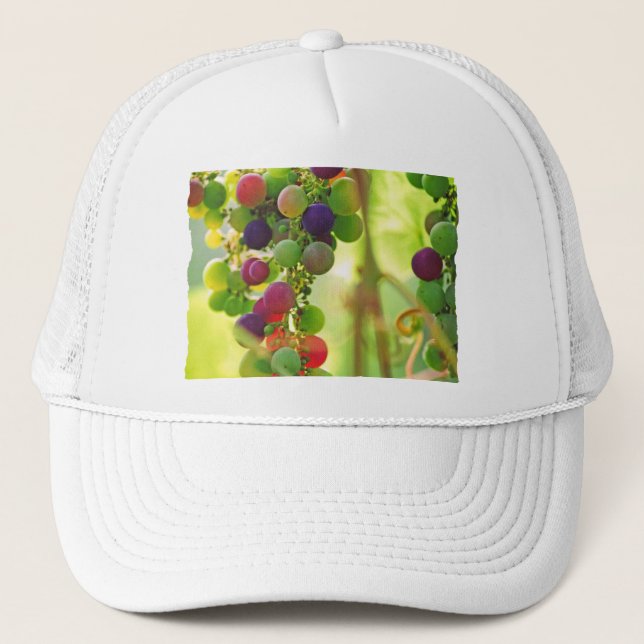 Grapes of Many Colours Trucker Hat (Front)