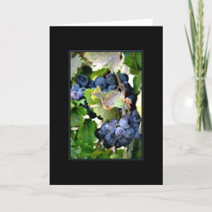 Grapes of Napa Card