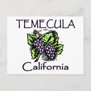 Grapes of Temecula Postcard