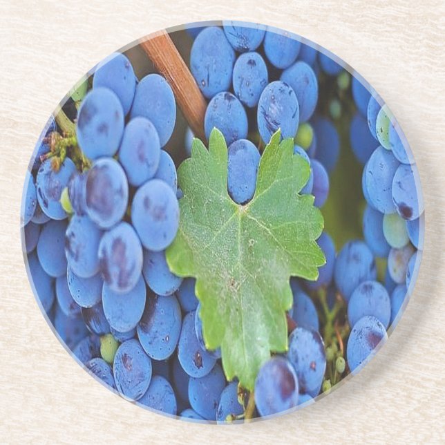Grapes on a Vine Coaster (Front)