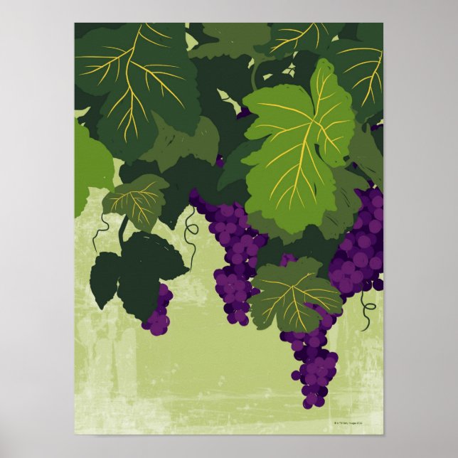 Grapes on the Vine Poster (Front)