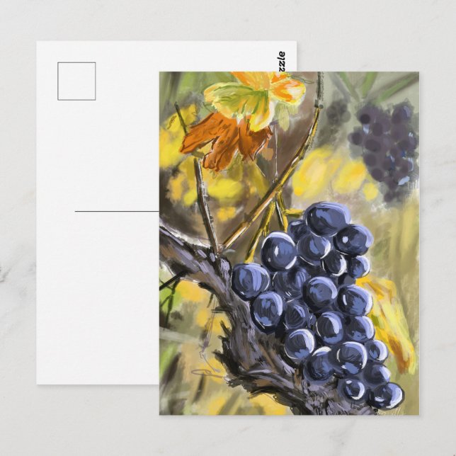 Grapes on the vine stump, Provence. Postcard (Front/Back)