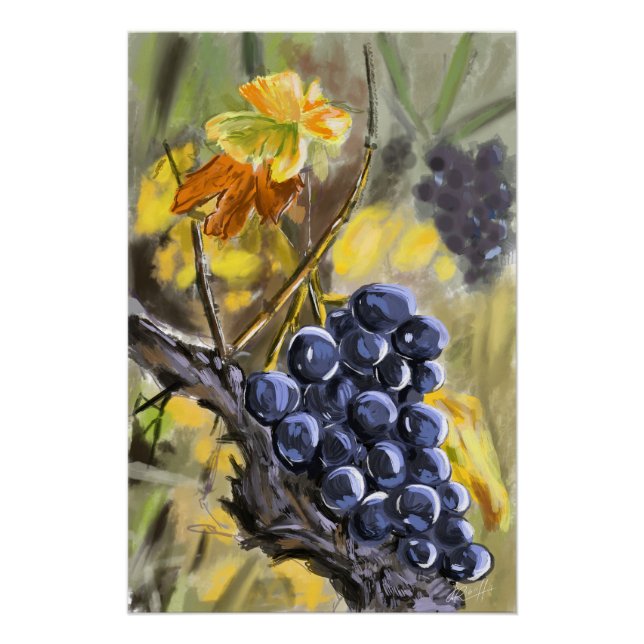 Grapes on the vine stump, Provence. Poster (Front)