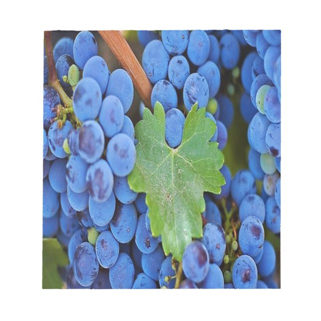 Grapes on Vine Notepad (Front)