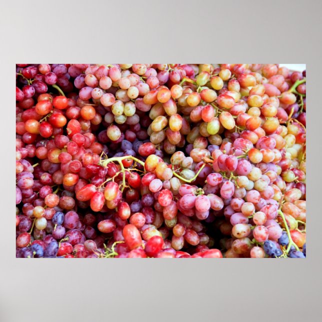 Grapes Poster (Front)