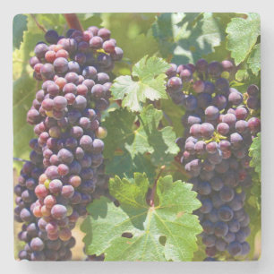 Grapes Stone Coaster