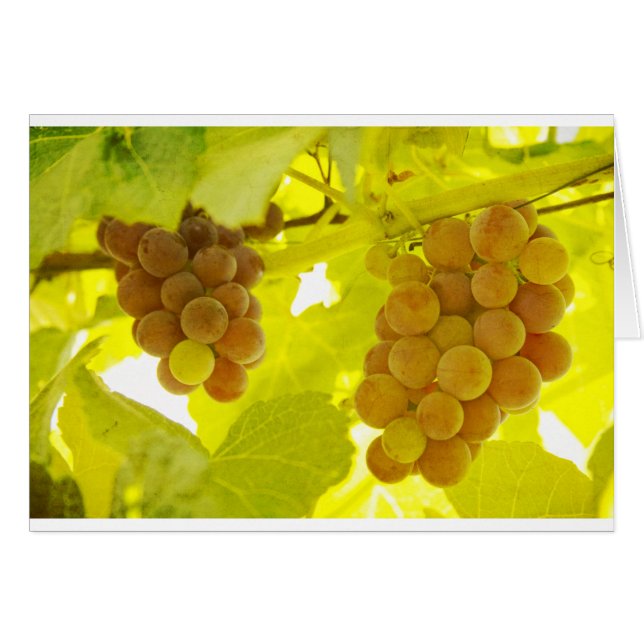 Grapes Vine Fine Art (Front Horizontal)