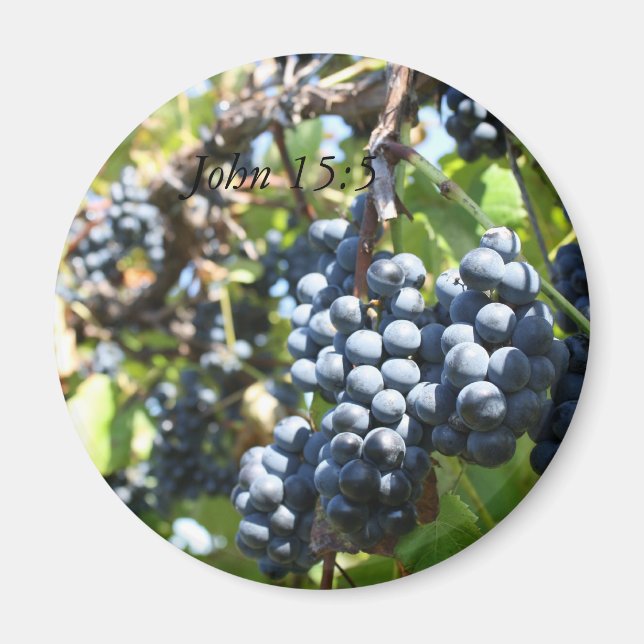 Grapes Vineyard John 15:5 Magnet (Front)