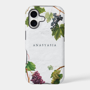 Grapes Vineyard Mediterranean Greek Island