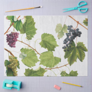 Grapes Vineyard Mediterranean Greek Island Tissue Paper