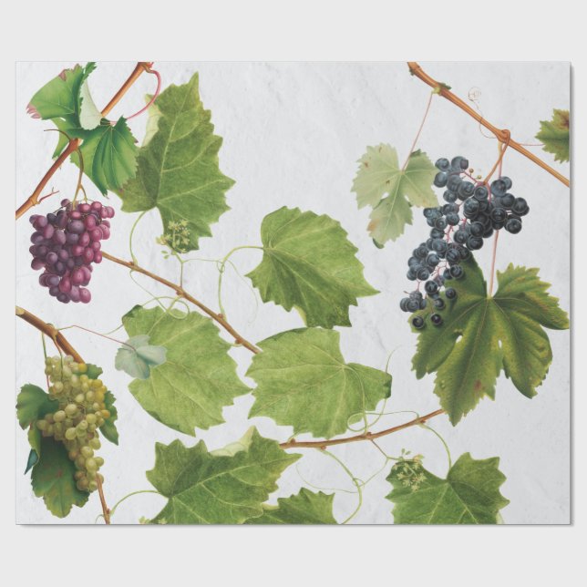 Grapes Vineyard Mediterranean Greek Island Wrapping Paper (Flat)