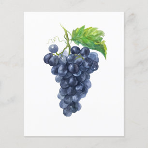 Grapes. Watercolor painting Flyer