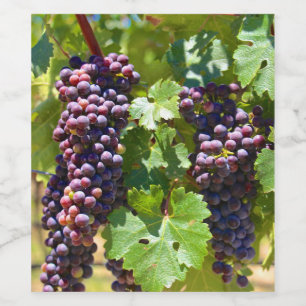 Grapes Wine Label
