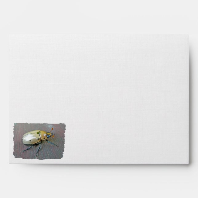 Grapevine Beetle (Pelidnota punctata)6Shape Envelope (Front)