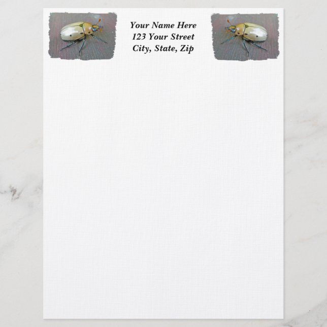 Grapevine Beetle (Pelidnota punctata) Letterhead Template (Front)