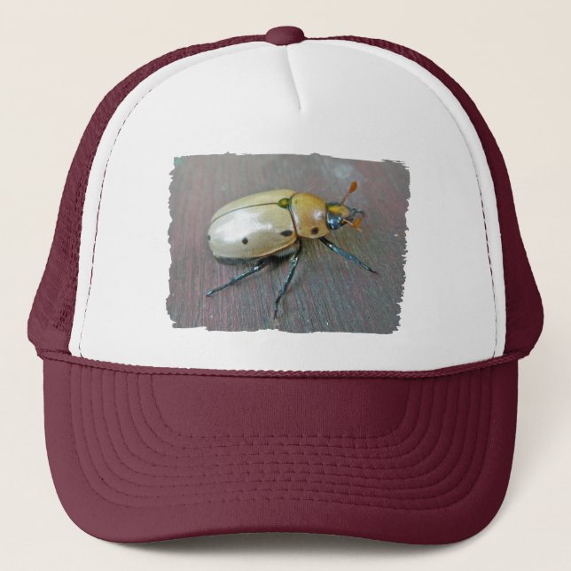 Grapevine Beetle (Pelidnota punctata) Series Trucker Hat (Front)