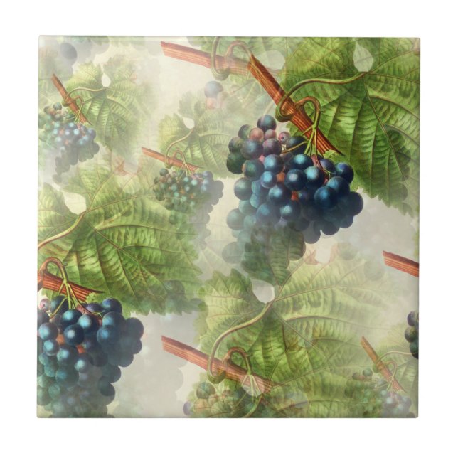 Grapevine Concord Grapes Mediterranean  Tile (Front)
