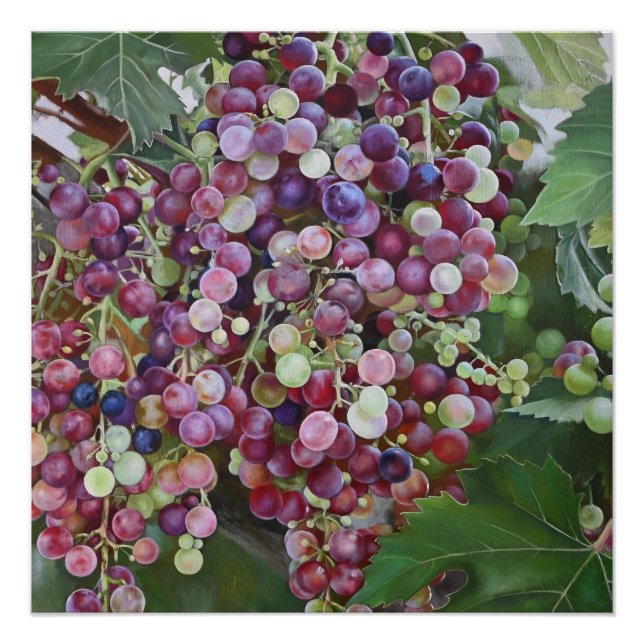 Grapevine Glory — Hyperrealistic Vineyard Art for  Poster (Front)