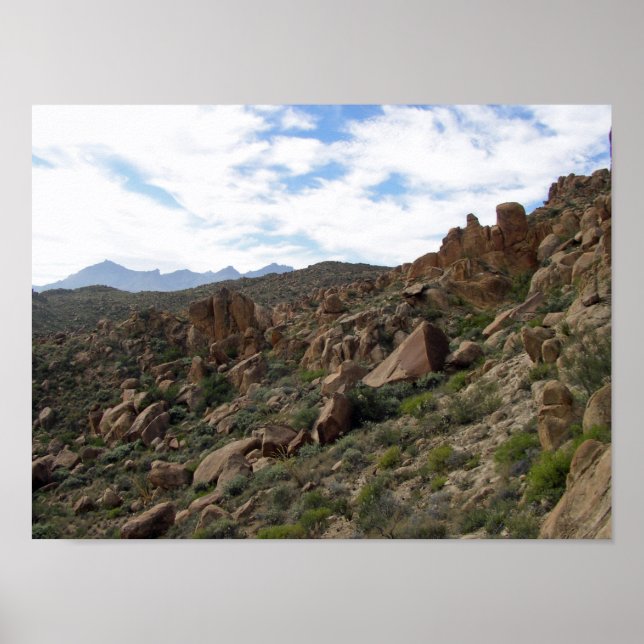 Grapevine Hills Rocks & Chisos Mountains, Texas Poster (Front)