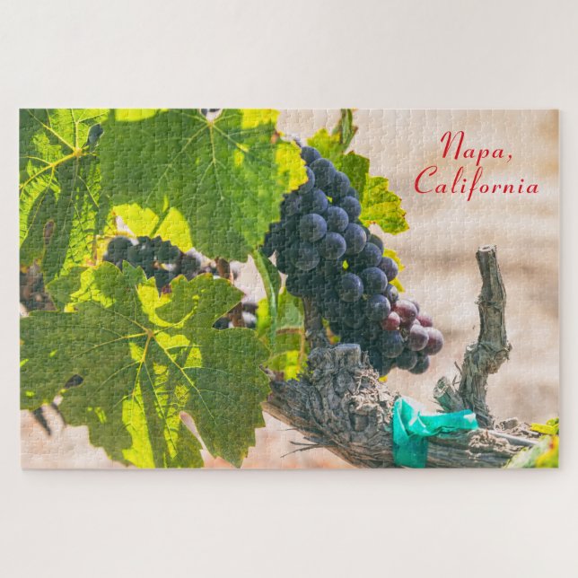 Grapevine Napa Valley, California Jigsaw Puzzle (Horizontal)