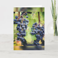 Grapevine Note Card <Blank Inside>