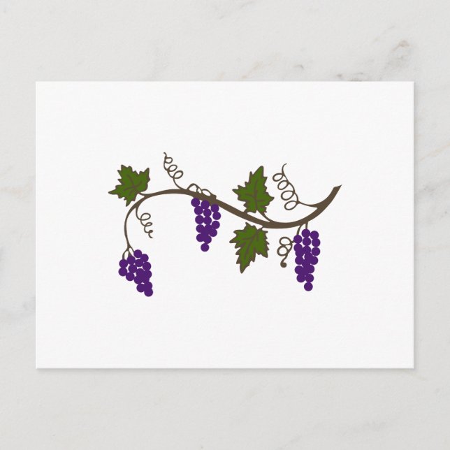 GRAPEVINE POSTCARD (Front)