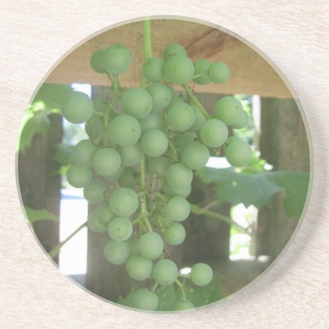 Grapevine Sandstone Coasters (Front)