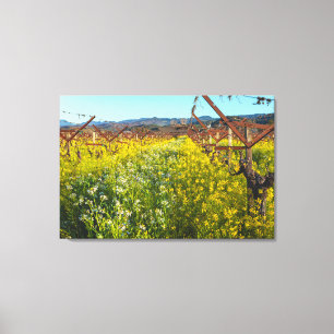 Grapevines and Mustard Flowers Canvas Print