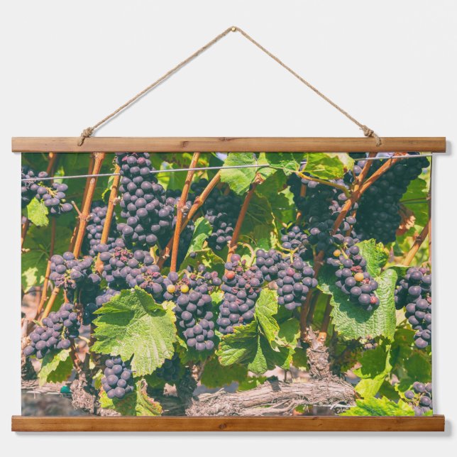 Grapevines Hanging Tapestry (Front)