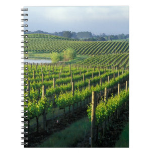 Grapevines in neat rows in California's Napa Spiral Notebook